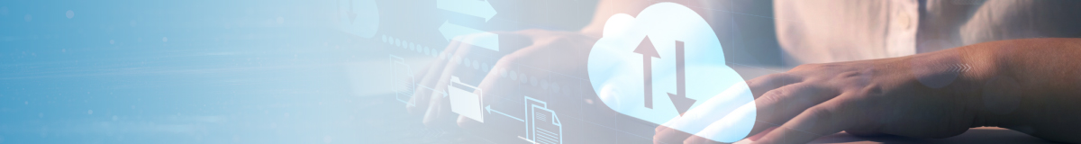 Presale Software with Payments